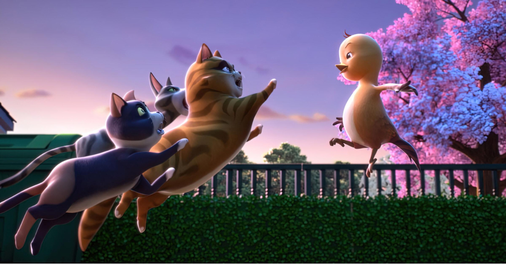 cat and bird story - Mushmush chasing Zizou the bird